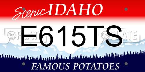 E615TS Idaho License Plate