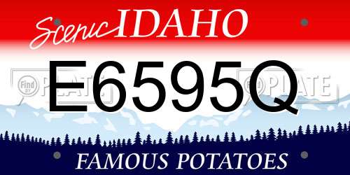 E6595Q Idaho License Plate