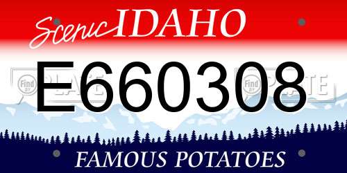 E660308 Idaho License Plate