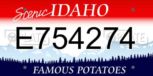 E754274 Idaho License Plate