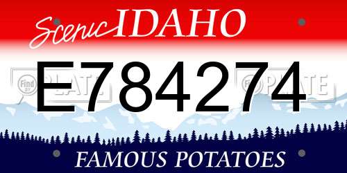 E784274 Idaho License Plate