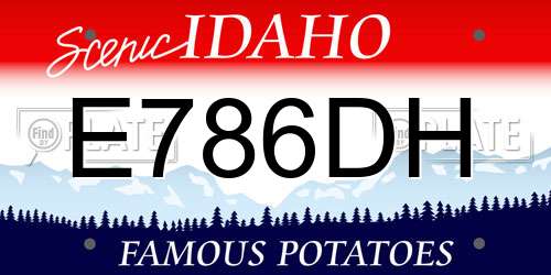 E786DH Idaho License Plate