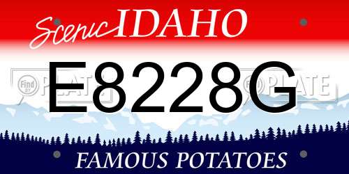 E8228G Idaho License Plate