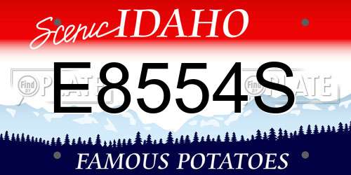 E8554S Idaho License Plate