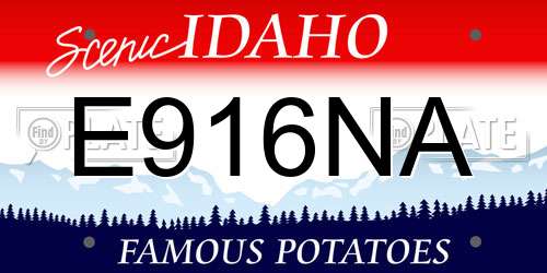 E916NA Idaho License Plate