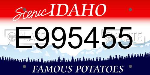 E995455 Idaho License Plate