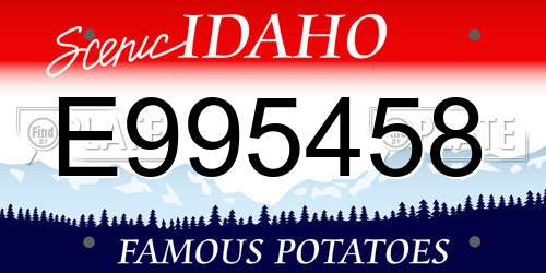 E995458 Idaho License Plate