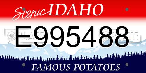 E995488 Idaho License Plate