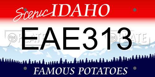 EAE313 Idaho License Plate