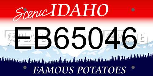 EB65046 Idaho License Plate