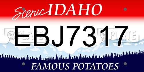 EBJ7317 Idaho License Plate
