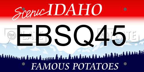 EBSQ45 Idaho License Plate