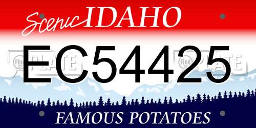 EC54425 Idaho License Plate