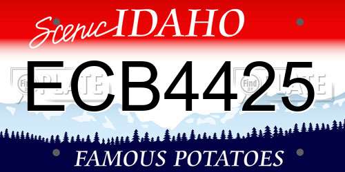 ECB4425 Idaho License Plate