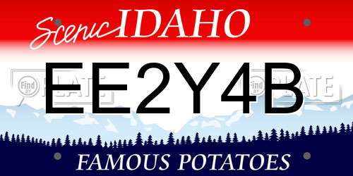 EE2Y4B Idaho License Plate