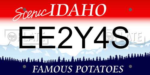 EE2Y4S Idaho License Plate