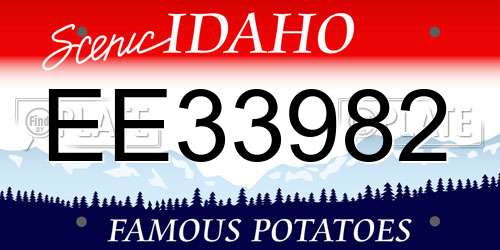 EE33982 Idaho License Plate