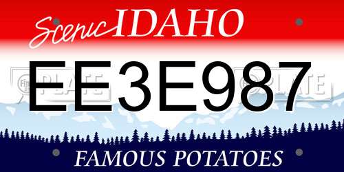 EE3E987 Idaho License Plate