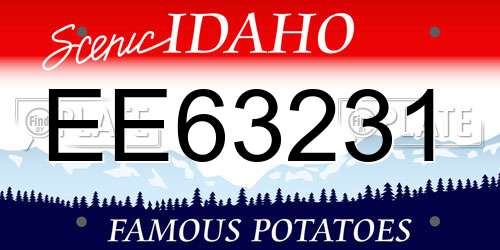 EE63231 Idaho License Plate