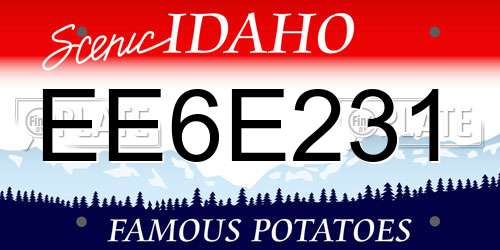EE6E231 Idaho License Plate