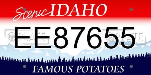 EE87655 Idaho License Plate