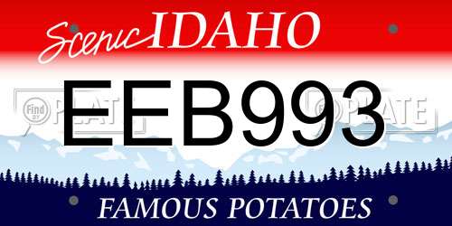 EEB993 Idaho License Plate