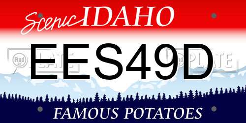 EES49D Idaho License Plate