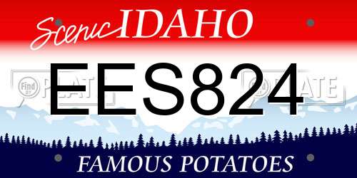 EES824 Idaho License Plate