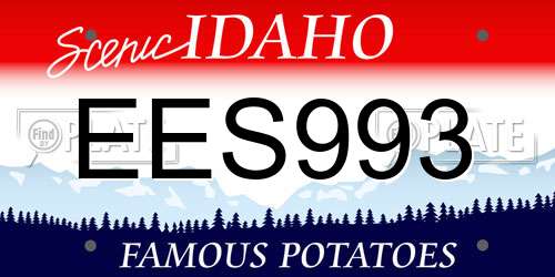 EES993 Idaho License Plate