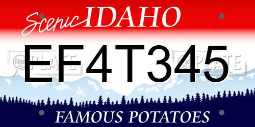 EF4T345 Idaho License Plate