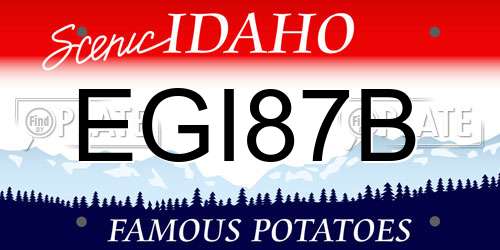 EGI87B Idaho License Plate