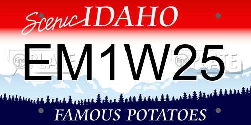 EM1W25 Idaho License Plate