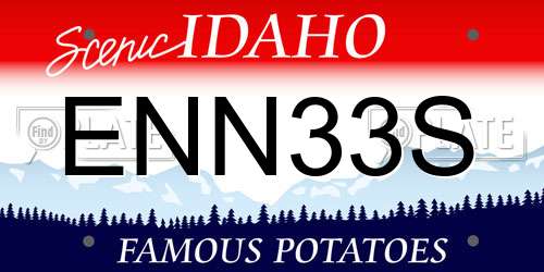 ENN33S Idaho License Plate