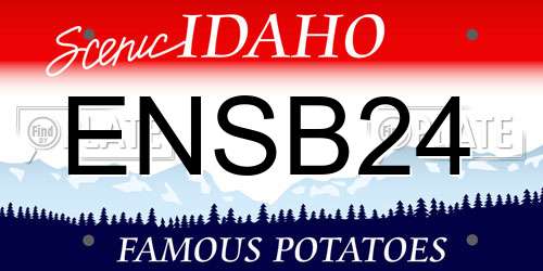 ENSB24 Idaho License Plate