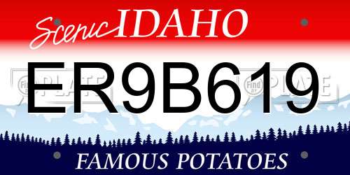ER9B619 Idaho License Plate