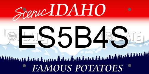 ES5B4S Idaho License Plate