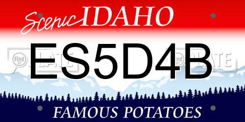 ES5D4B Idaho License Plate
