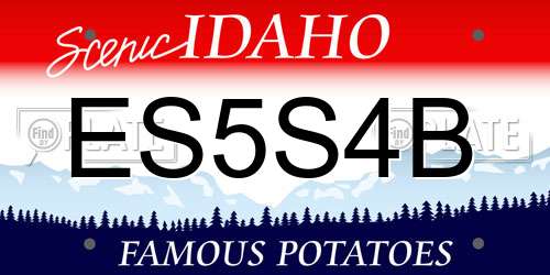 ES5S4B Idaho License Plate