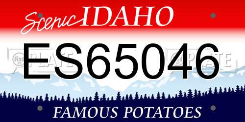 ES65046 Idaho License Plate