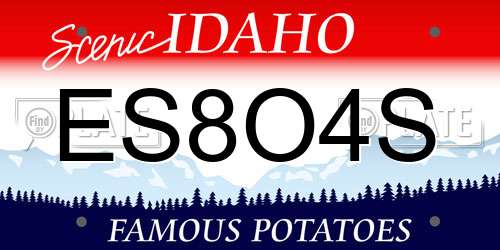 ES8O4S Idaho License Plate