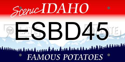 ESBD45 Idaho License Plate