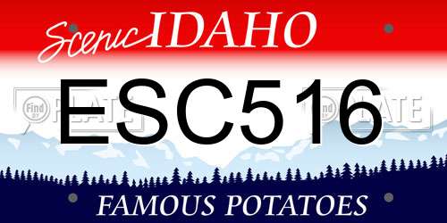ESC516 Idaho License Plate