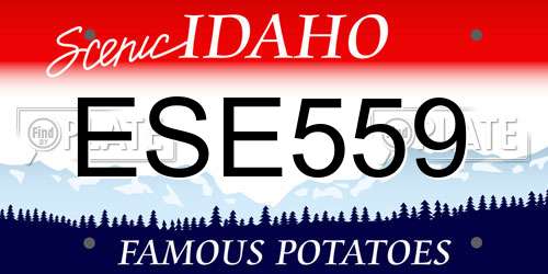 ESE559 Idaho License Plate