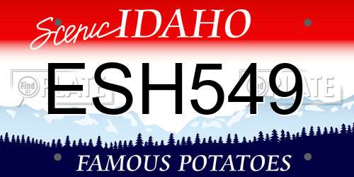 ESH549 Idaho License Plate