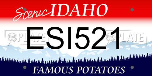 ESI521 Idaho License Plate