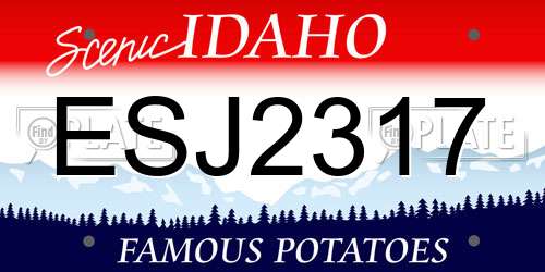 ESJ2317 Idaho License Plate