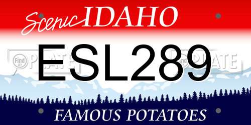 ESL289 Idaho License Plate