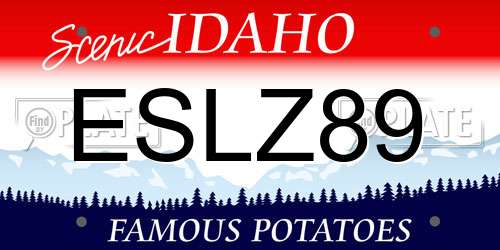 ESLZ89 Idaho License Plate