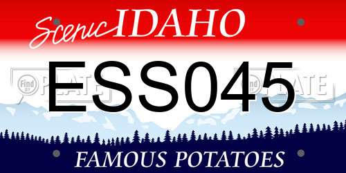 ESS045 Idaho License Plate