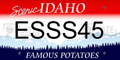 ESSS45 Idaho License Plate